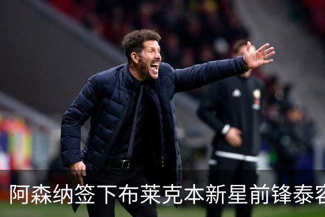 阿森纳签下布莱克本新星前锋泰容